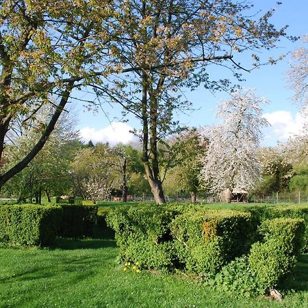 Gites Aux Fleurs De Cerises Le Plessis-Luzarches Luaran gambar