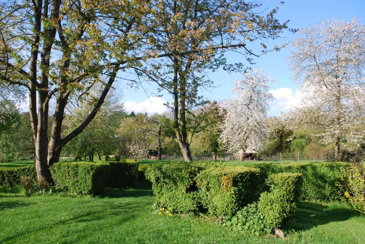 Gites Aux Fleurs De Cerises Le Plessis-Luzarches Luaran gambar